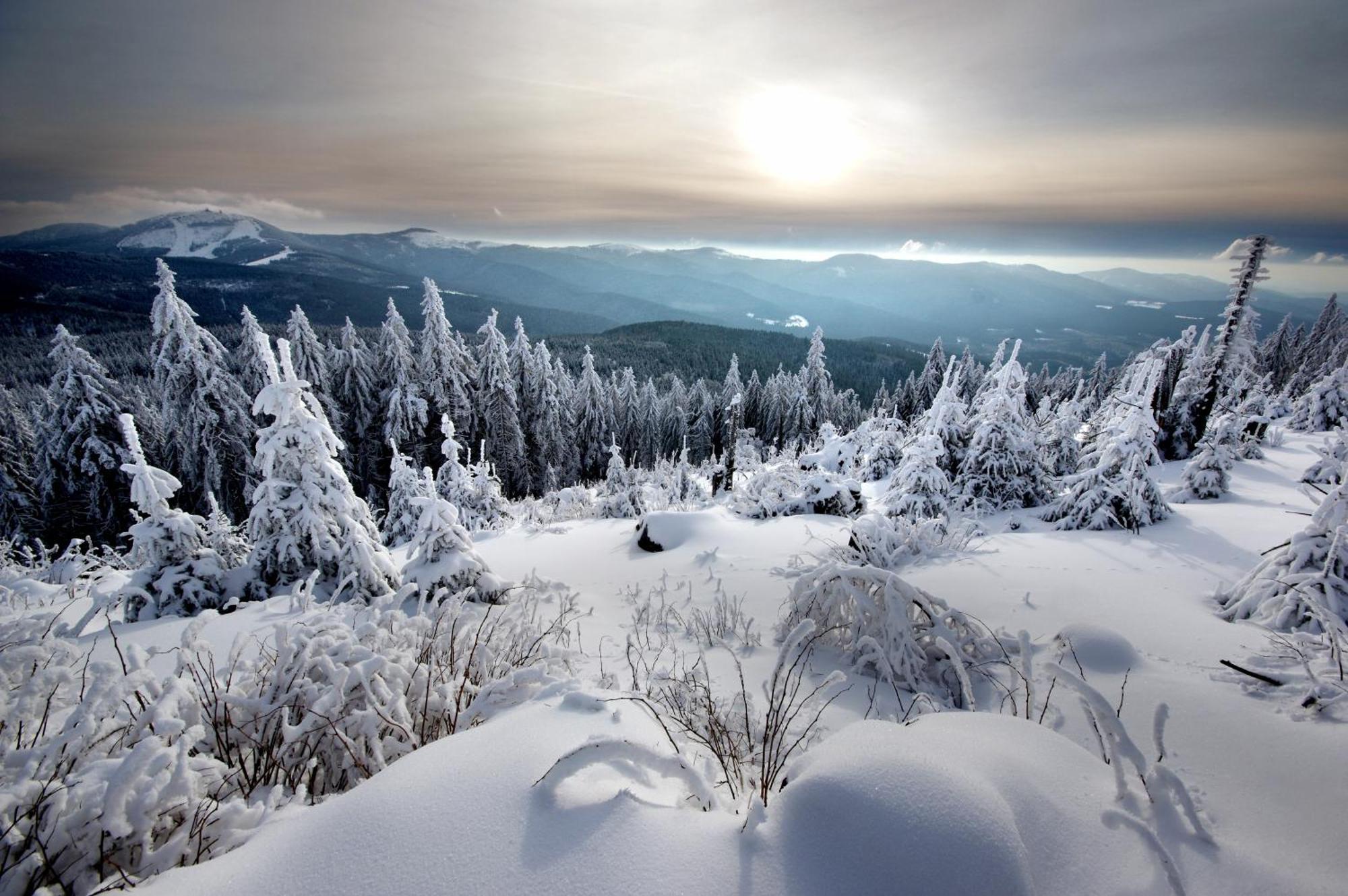 Sonnenhof Resort Bayerischer Wald Lam Esterno foto