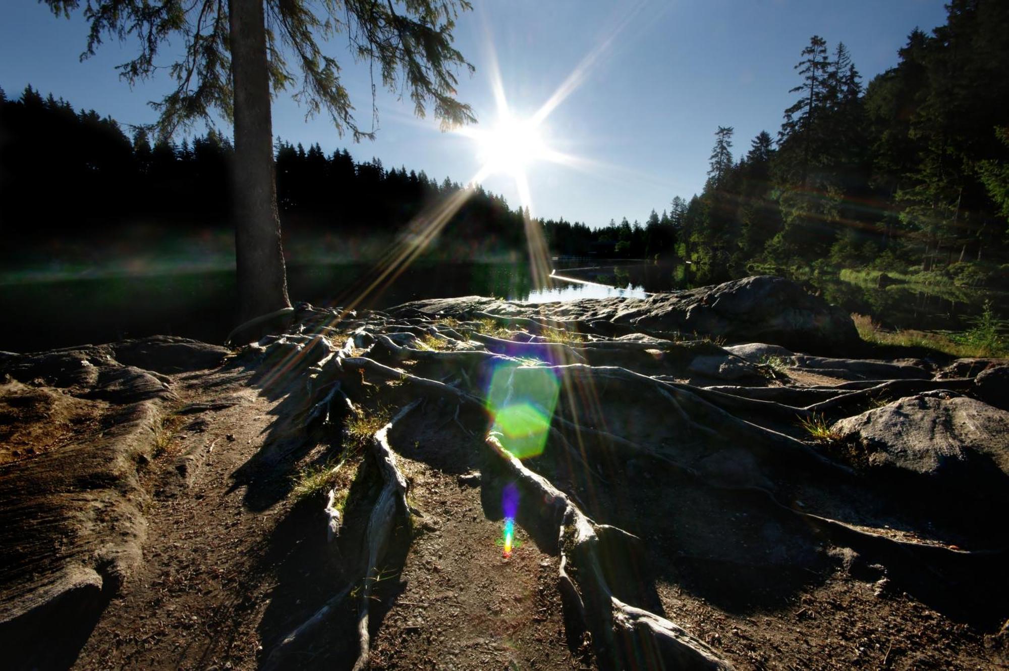 Sonnenhof Resort Bayerischer Wald Lam Esterno foto